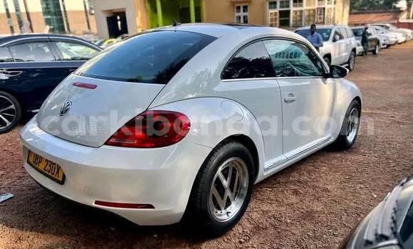 Acheter Occasion Voiture Volkswagen Beetle Blanc à Bugembe, Est Acheter Occasion Voiture Volkswagen Beetle Blanc à Bugembe, Est