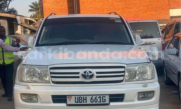 Buy Used Toyota Land Cruiser White Car in Arua in Uganda