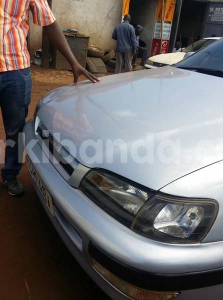 Big with watermark 48371909 1436507176483531 2121753959218544640 n