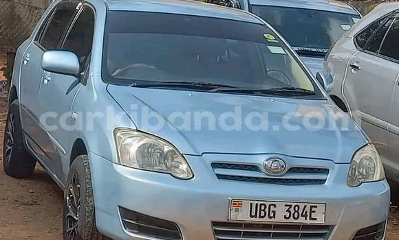 Buy Used Toyota Allex Other Car in Bugembe in Eastern