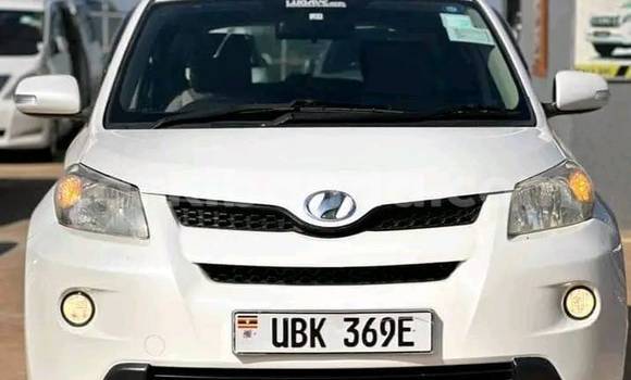 Buy Used Toyota IST Other Car in Arua in Uganda