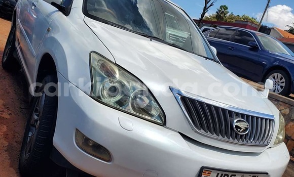 Buy Used Toyota Harrier White Car in Arua in Uganda