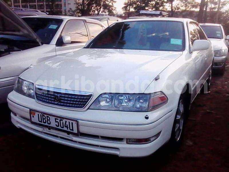 Big with watermark 48357331 345884919546023 7291097530631192576 n