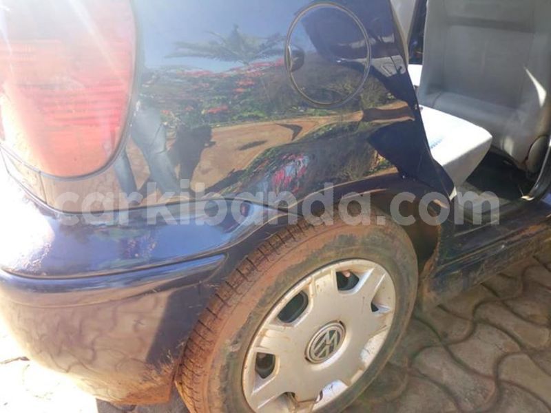 Big with watermark 48380883 2261114707493227 8114017658296336384 n