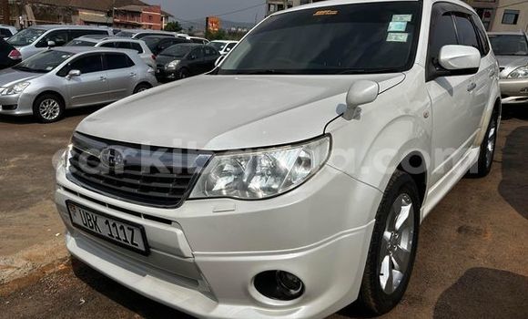 Acheter Occasion Voiture Subaru Forester Autre à Amudat, Nord