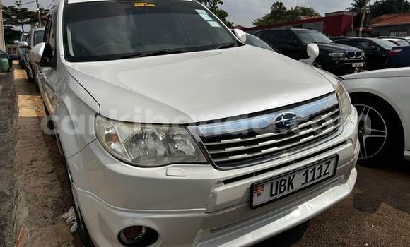 Buy Used Subaru Forester Other Car in Amudat in Northern Buy Used Subaru Forester Other Car in Amudat in Northern