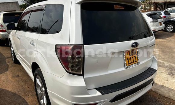 Buy Used Subaru Forester Other Car in Amudat in Northern Buy Used Subaru Forester Other Car in Amudat in Northern
