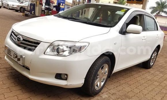 Buy Used Toyota Axio Other Car in Kampala in Uganda Buy Used Toyota Axio Other Car in Kampala in Uganda