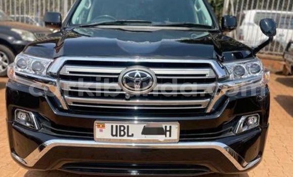 Nunua Ilio tumika Toyota Land Cruiser Prado Nyingine Gari ndani ya Adjumani nchini Kaskazini Nunua Ilio tumika Toyota Land Cruiser Prado Nyingine Gari ndani ya Adjumani nchini Kaskazini