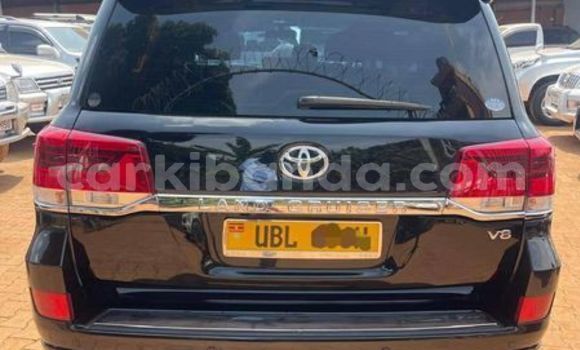 Nunua Ilio tumika Toyota Land Cruiser Prado Nyingine Gari ndani ya Adjumani nchini Kaskazini Nunua Ilio tumika Toyota Land Cruiser Prado Nyingine Gari ndani ya Adjumani nchini Kaskazini