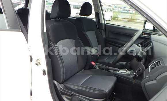 Buy Used Subaru Forester White Car in Kampala in Uganda Buy Used Subaru Forester White Car in Kampala in Uganda