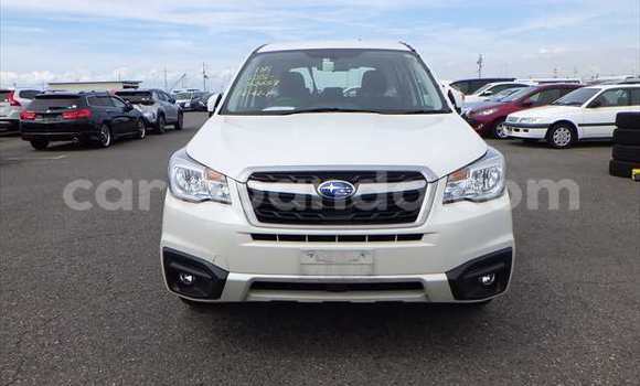 Buy Used Subaru Forester White Car in Kampala in Uganda Buy Used Subaru Forester White Car in Kampala in Uganda