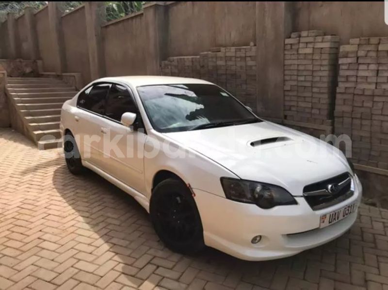 Big with watermark 48396389 1941825119237928 7198369903970091008 o