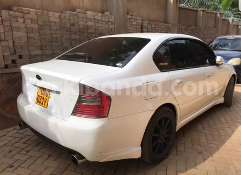 Big with watermark 48359807 1941825365904570 8676081912151801856 o