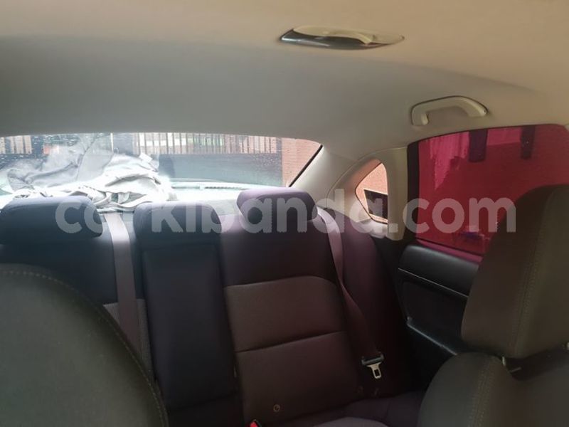 Big with watermark 48364594 1941825299237910 4603758260418248704 o