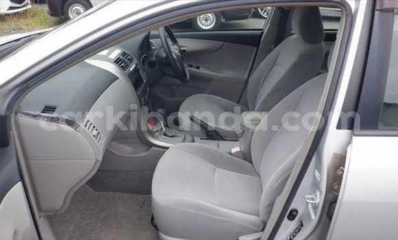 Buy Used Toyota Axio Silver Car in Kampala in Uganda Buy Used Toyota Axio Silver Car in Kampala in Uganda