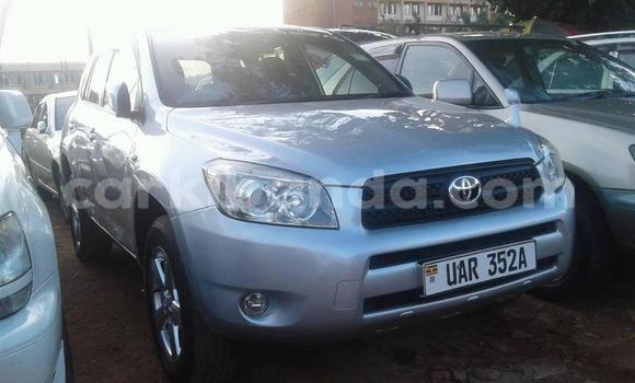 Buy Used Toyota RAV4 Silver Car in Kampala in Uganda Buy Used Toyota RAV4 Silver Car in Kampala in Uganda
