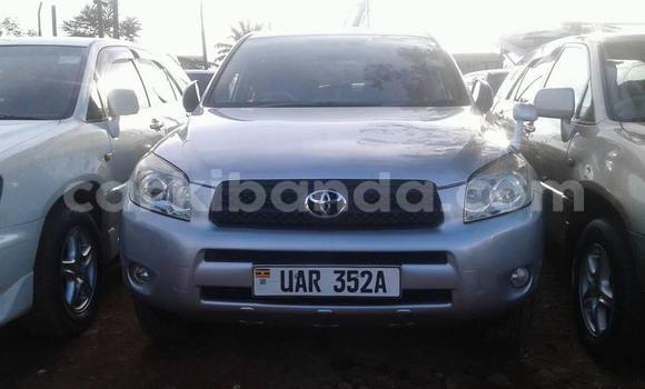 Buy Used Toyota RAV4 Silver Car in Kampala in Uganda Buy Used Toyota RAV4 Silver Car in Kampala in Uganda