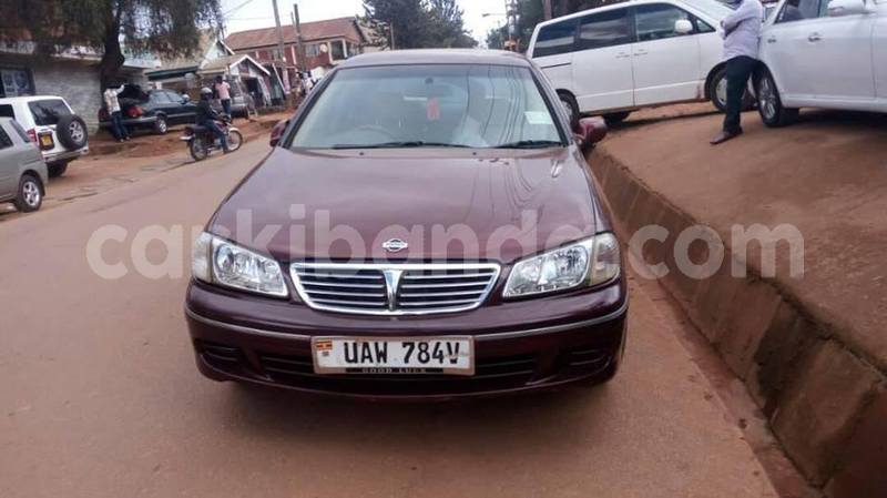 Big with watermark 48373629 1437726476361601 5510124306949996544 n