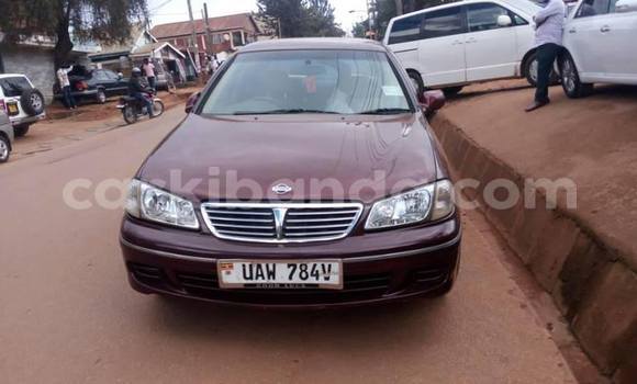 Buy Used Nissan Bluebird Sylphy Other Car in Kampala in Uganda Buy Used Nissan Bluebird Sylphy Other Car in Kampala in Uganda