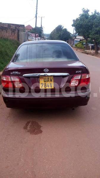 Big with watermark 48392550 1437726469694935 7405221898381950976 n