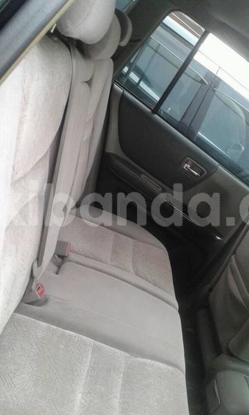 Big with watermark 48199378 345889609545554 3350751764272906240 n