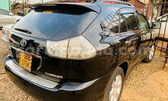 Gura Yakoze Toyota Harrier Other Imodoka i Bundibugyo mu Western Gura Yakoze Toyota Harrier Other Imodoka i Bundibugyo mu Western