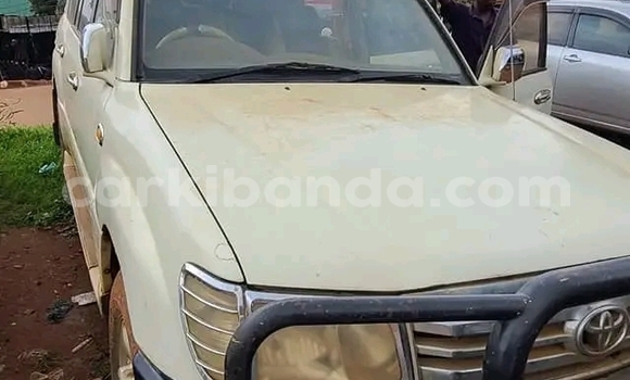 Gura Yakoze Toyota Land Cruiser White Imodoka i Bundibugyo mu Western Gura Yakoze Toyota Land Cruiser White Imodoka i Bundibugyo mu Western