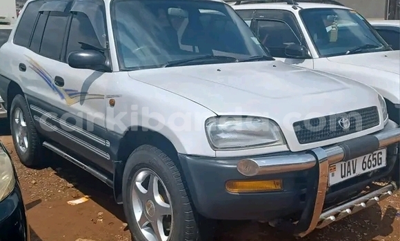 Buy Used Toyota RAV4 Other Car in Bundibugyo in Western