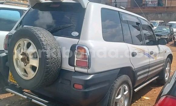 Gura Yakoze Toyota RAV4 Other Imodoka i Bundibugyo mu Western Gura Yakoze Toyota RAV4 Other Imodoka i Bundibugyo mu Western