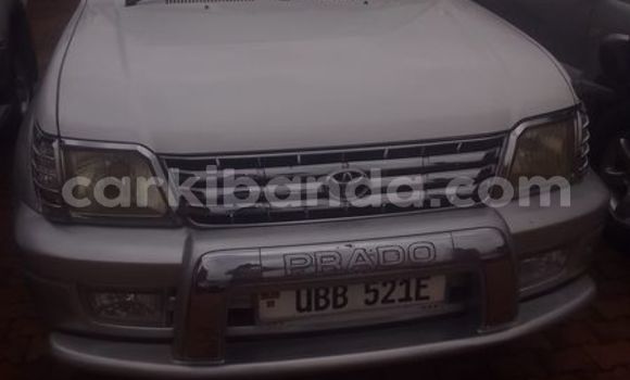 Buy Used Toyota Prado Other Car in Arua in Uganda