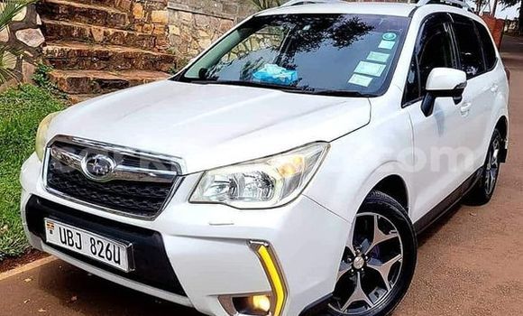 Buy Used Ford Focus Other Car in Amudat in Northern