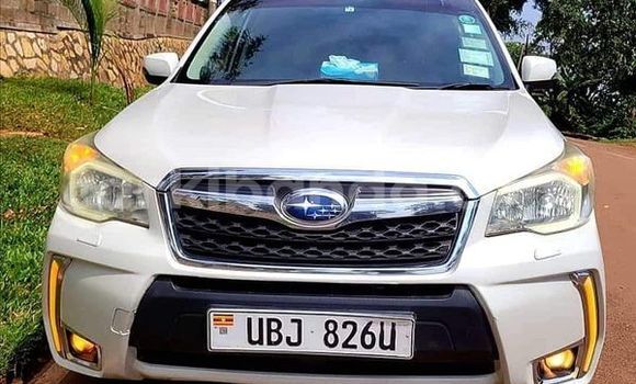 Gura Yakoze Ford Focus Other Imodoka i Amudat mu Northern Gura Yakoze Ford Focus Other Imodoka i Amudat mu Northern