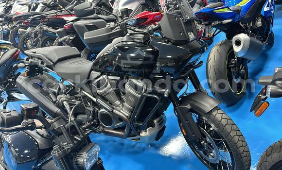 Buy Used Harley Davidson S Black Bike in Kampala in Uganda