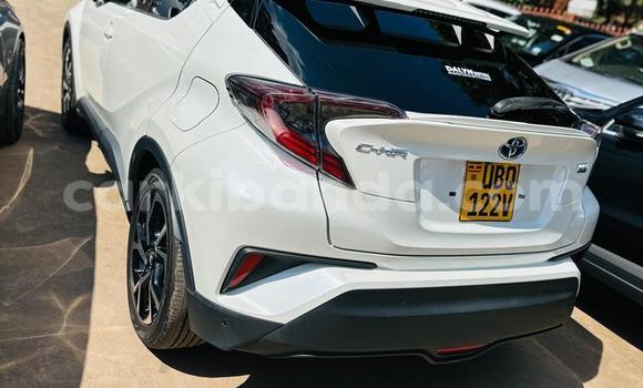 Nunua Ilio tumika Toyota C-HR Nyingine Gari ndani ya Kampala nchini Uganda Nunua Ilio tumika Toyota C-HR Nyingine Gari ndani ya Kampala nchini Uganda