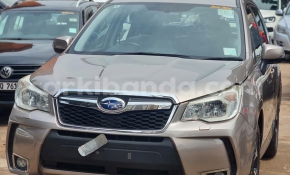 Nunua Ilio tumika Subaru Forester Nyingine Gari ndani ya Kampala nchini Uganda Nunua Ilio tumika Subaru Forester Nyingine Gari ndani ya Kampala nchini Uganda