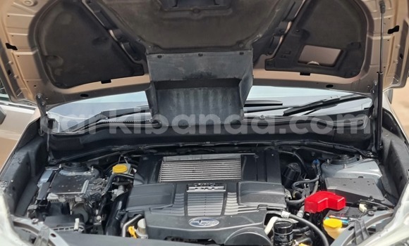 Nunua Ilio tumika Subaru Forester Nyingine Gari ndani ya Kampala nchini Uganda Nunua Ilio tumika Subaru Forester Nyingine Gari ndani ya Kampala nchini Uganda