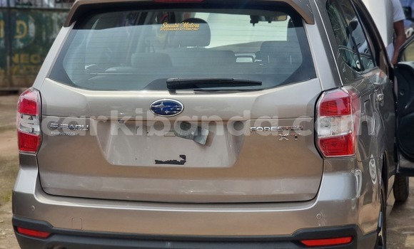 Nunua Ilio tumika Subaru Forester Nyingine Gari ndani ya Kampala nchini Uganda Nunua Ilio tumika Subaru Forester Nyingine Gari ndani ya Kampala nchini Uganda