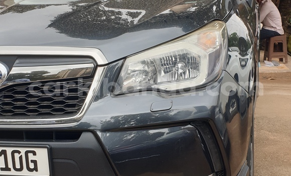 Buy Used Subaru Forester Other Car in Kampala in Uganda