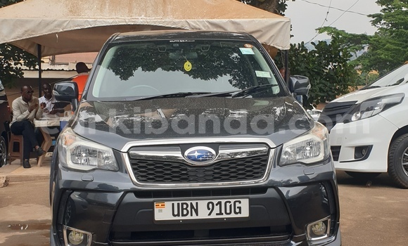 Nunua Ilio tumika Subaru Forester Nyingine Gari ndani ya Kampala nchini Uganda Nunua Ilio tumika Subaru Forester Nyingine Gari ndani ya Kampala nchini Uganda