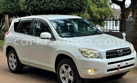 Nunua Ilio tumika Toyota RAV4 Nyeupe Gari ndani ya Kampala nchini Uganda