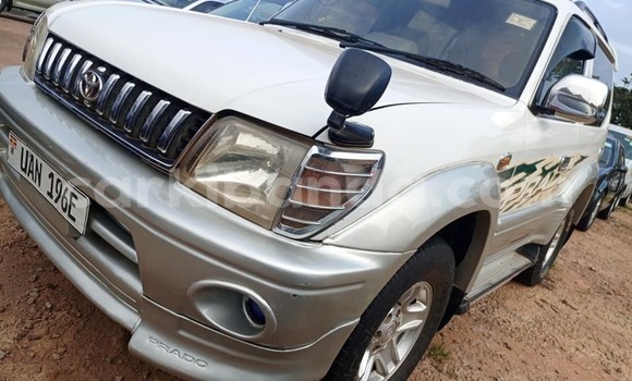 Buy Used Toyota Prado White Car in Arua in Uganda