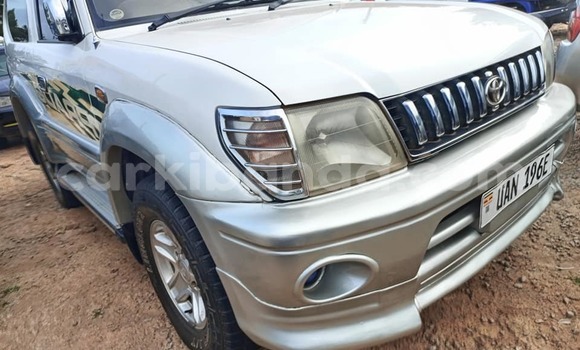 Nunua Ilio tumika Toyota Prado Nyeupe Gari ndani ya Arua nchini Uganda Nunua Ilio tumika Toyota Prado Nyeupe Gari ndani ya Arua nchini Uganda