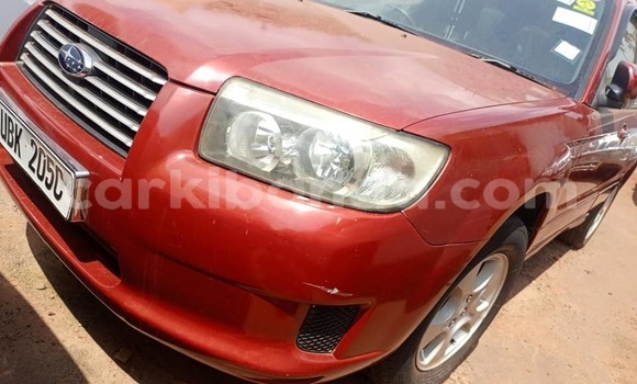 Acheter Occasion Voiture Subaru Forester Rouge à Bombo, Central