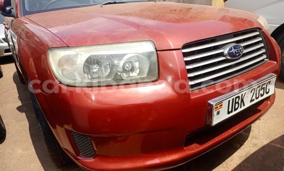 Nunua Ilio tumika Subaru Forester Nyekundu Gari ndani ya Bombo nchini Kati Nunua Ilio tumika Subaru Forester Nyekundu Gari ndani ya Bombo nchini Kati