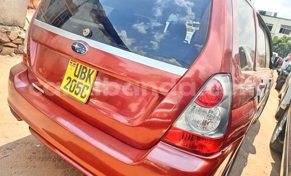 Nunua Ilio tumika Subaru Forester Nyekundu Gari ndani ya Bombo nchini Kati Nunua Ilio tumika Subaru Forester Nyekundu Gari ndani ya Bombo nchini Kati