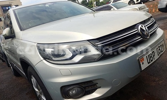 Buy Used Volkswagen Tiguan Other Car in Arua in Uganda