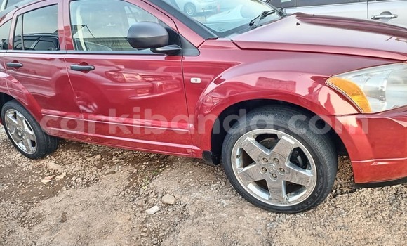 Nunua Ilio tumika Dodge Caliber Nyekundu Gari ndani ya Apac nchini Kaskazini Nunua Ilio tumika Dodge Caliber Nyekundu Gari ndani ya Apac nchini Kaskazini