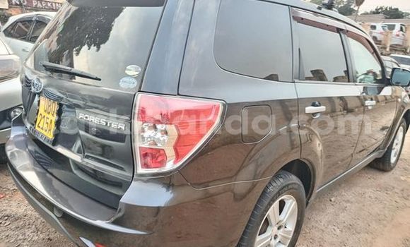 Gura Yakoze Subaru Forester Black Imodoka i Apac mu Northern Gura Yakoze Subaru Forester Black Imodoka i Apac mu Northern