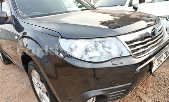 Gura Yakoze Subaru Forester Black Imodoka i Apac mu Northern Gura Yakoze Subaru Forester Black Imodoka i Apac mu Northern